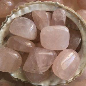 Meet your Posher, Lik